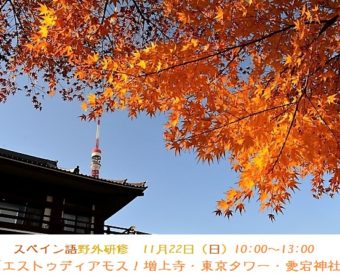 スペイン語野外研修「エストゥディアモス！増上寺・東京タワー・愛宕神社」11月29日